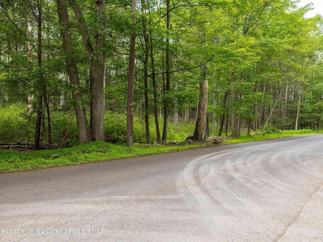 00LOT2 Church Rd, Woodstock, NY 12409 - photo 2
