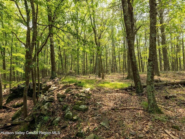 00LOT2 Church Rd, Woodstock, NY 12409 - photo 17