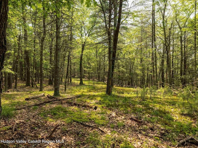 00LOT2 Church Rd, Woodstock, NY 12409 - photo 26