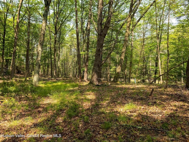 00LOT2 Church Rd, Woodstock, NY 12409 - photo 32