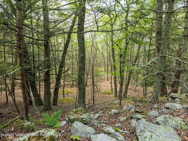 00LOT2 Church Rd, Woodstock, NY 12409 - photo 21
