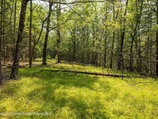 00LOT2 Church Rd, Woodstock, NY 12409 - photo 23