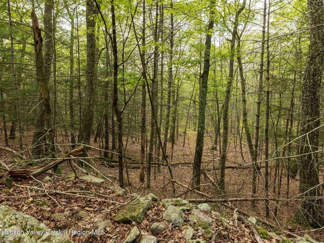 00LOT2 Church Rd, Woodstock, NY 12409 - photo 19