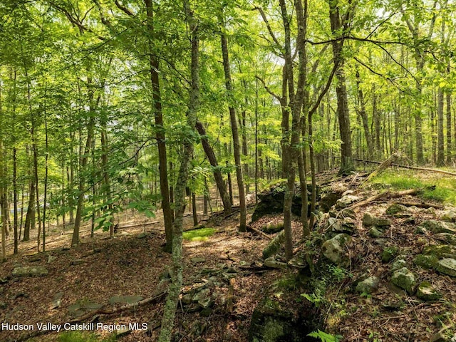 00LOT2 Church Rd, Woodstock, NY 12409 - photo 16