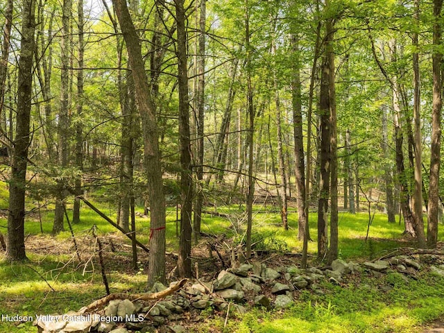 00LOT2 Church Rd, Woodstock, NY 12409 - photo 6