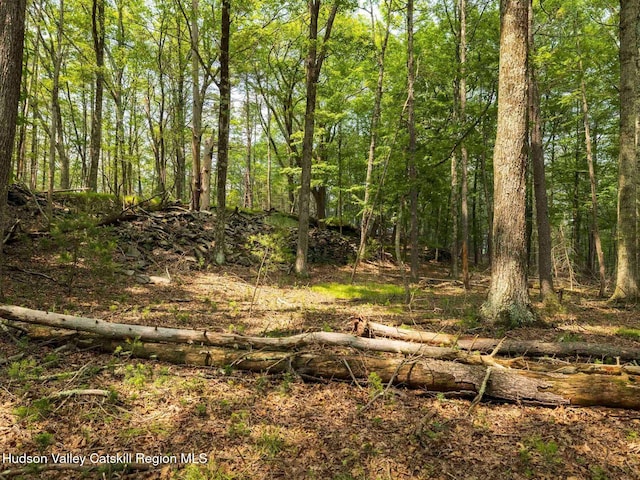 00LOT2 Church Rd, Woodstock, NY 12409 - photo 10