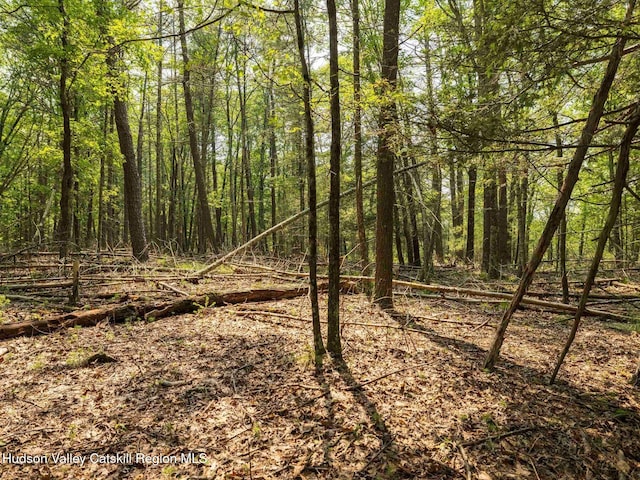 00LOT2 Church Rd, Woodstock, NY 12409 - photo 18