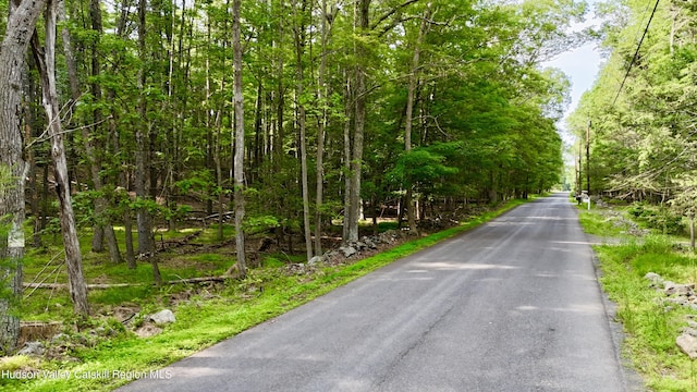 00LOT2 Church Rd, Woodstock, NY 12409 - photo 3