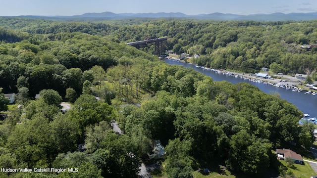 186 2nd St, Port Ewen, NY 12417 - aerial view of property's location featuring a heavily wooded area and a water and mountain view