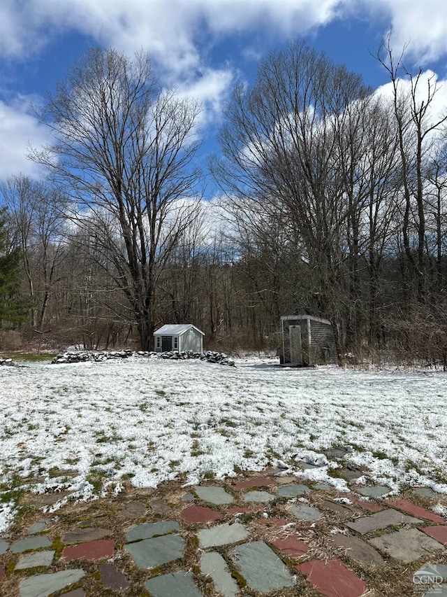 477 Fog Hill Rd, Austerlitz, NY 12017 - view of yard covered in snow