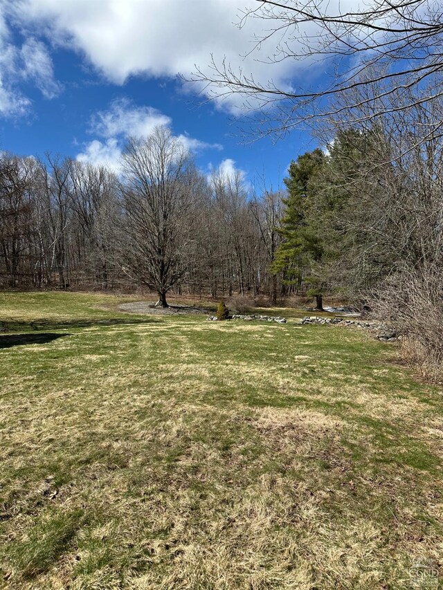 477 Fog Hill Rd, Austerlitz, NY 12017 - view of green lawn