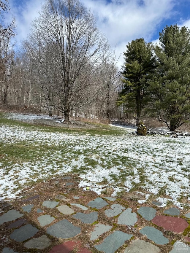 477 Fog Hill Rd, Austerlitz, NY 12017 - view of yard layered in snow