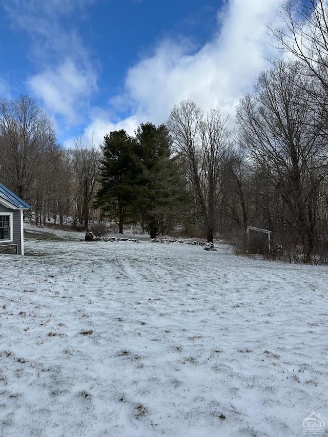 477 Fog Hill Rd, Austerlitz, NY 12017 - view of yard covered in snow