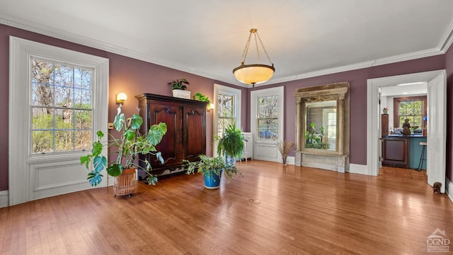 entryway featuring wood finished floors, healthy amount of natural light, baseboards, and ornamental molding