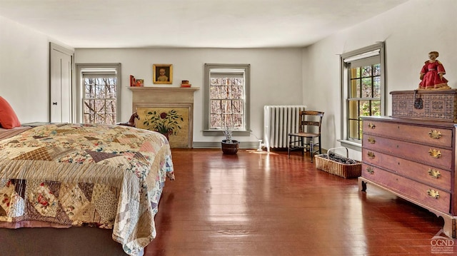 bedroom with radiator, multiple windows, and hardwood / wood-style flooring