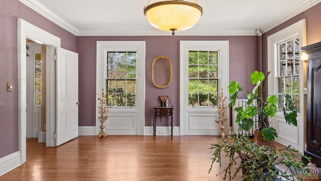doorway to outside featuring wood finished floors, plenty of natural light, baseboards, and crown molding