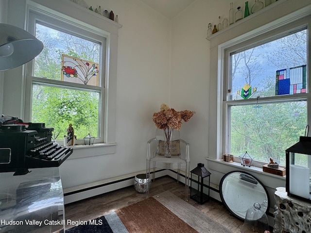 3766 US Route 9, Hudson, NY 12534 - detailed view of wood finished floors and baseboard heating