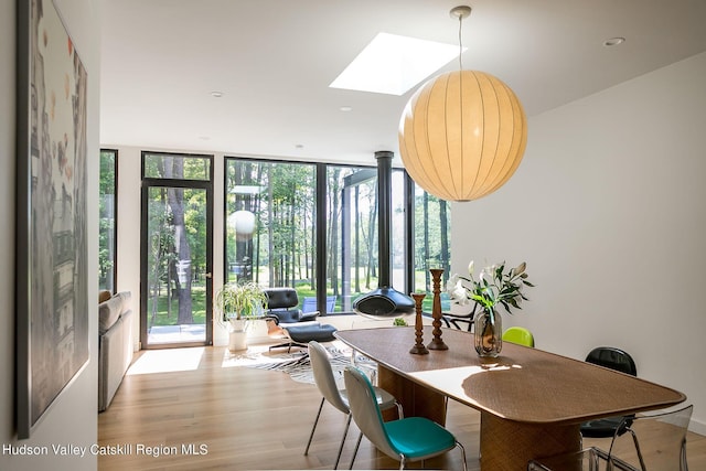 8 Accurso Rd, Saugerties, NY 12477 - dining space with light wood-style flooring, a skylight, and expansive windows