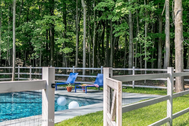 8 Accurso Rd, Saugerties, NY 12477 - pool with fence