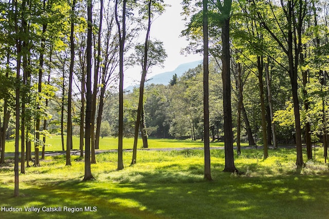 8 Accurso Rd, Saugerties, NY 12477 - view of home's community featuring a yard and a forest view