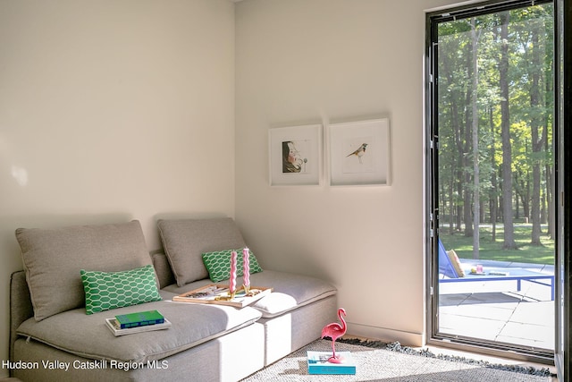 8 Accurso Rd, Saugerties, NY 12477 - bedroom featuring access to outside