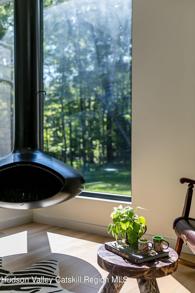 8 Accurso Rd, Saugerties, NY 12477 - room details with a wood stove
