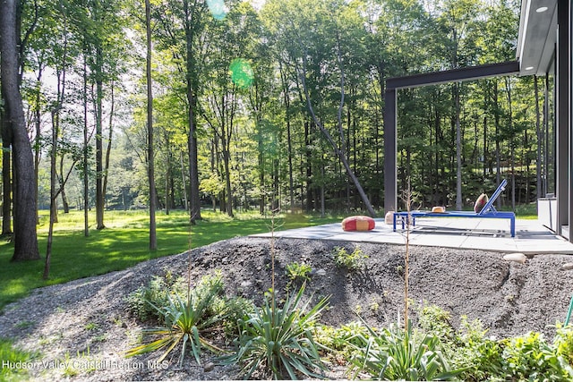 8 Accurso Rd, Saugerties, NY 12477 - view of yard featuring a patio area