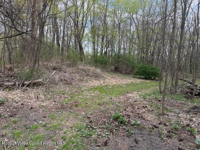 18 Stilba Ln, Stone Ridge, NY 12484 - photo 4