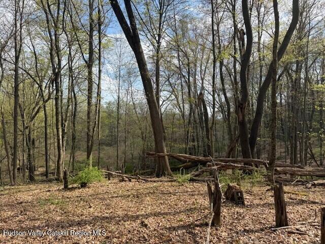 18 Stilba Ln, Stone Ridge, NY 12484 - photo 2