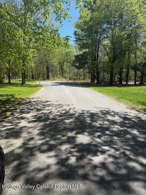 18 Stilba Ln, Stone Ridge, NY 12484 - photo 9