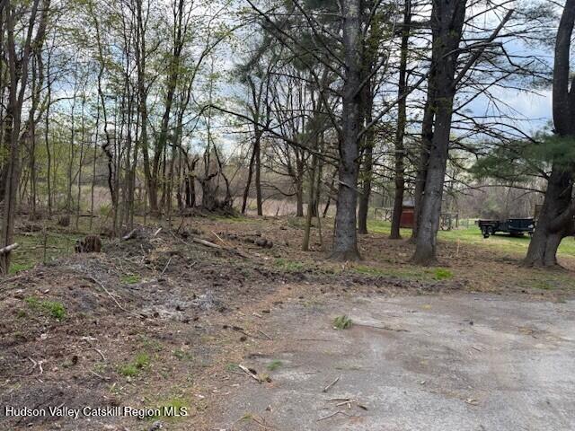 18 Stilba Ln, Stone Ridge, NY 12484 - photo 6