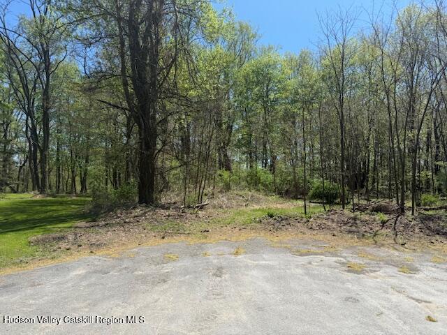18 Stilba Ln, Stone Ridge, NY 12484 - photo 8