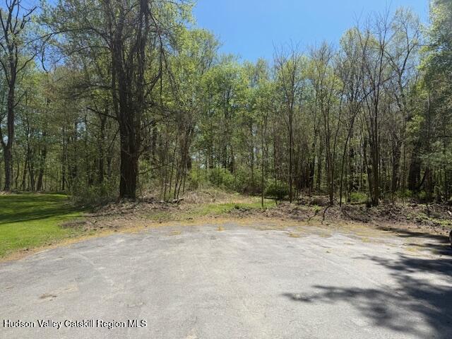 18 Stilba Ln, Stone Ridge, NY 12484 - photo 1