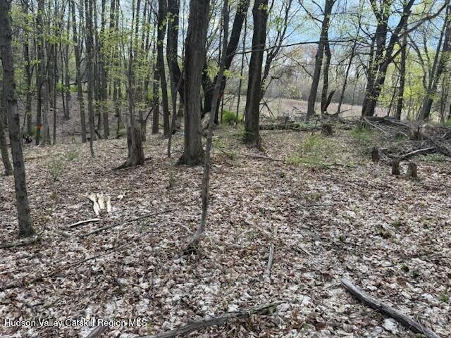 18 Stilba Ln, Stone Ridge, NY 12484 - photo 3