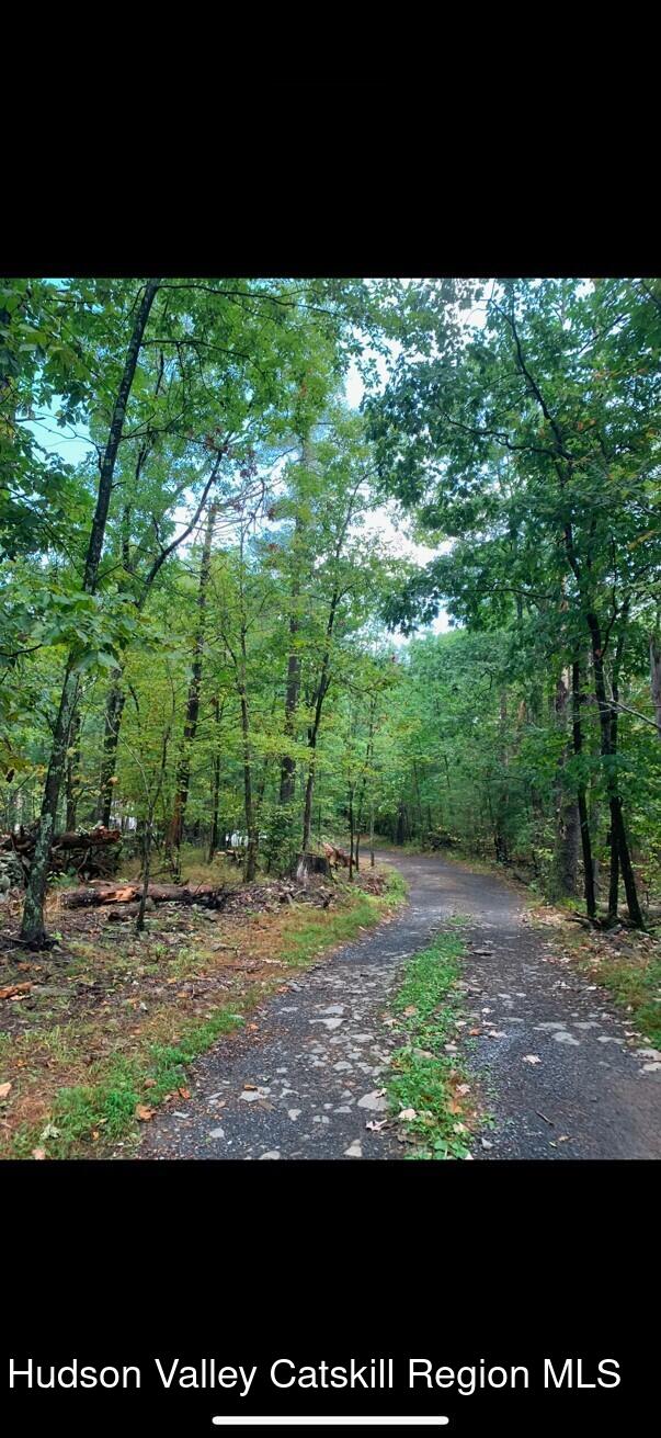 12 Powers Ln, Saugerties, NY 12477 - photo 3