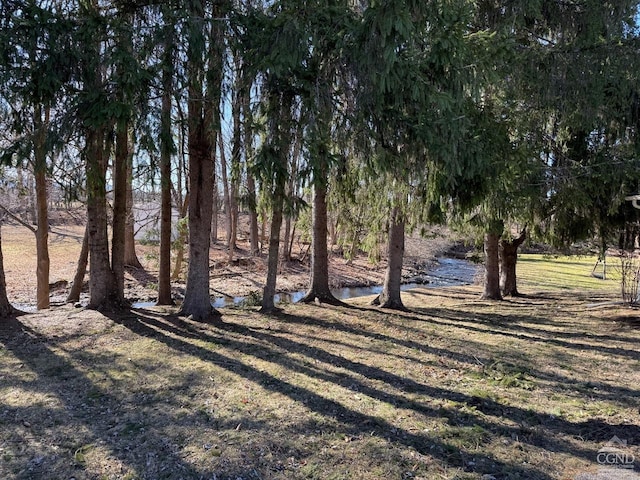 11293 Rte 32, Greenville, NY 12083 - view of yard
