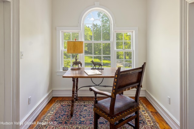 home office with hardwood / wood-style floors