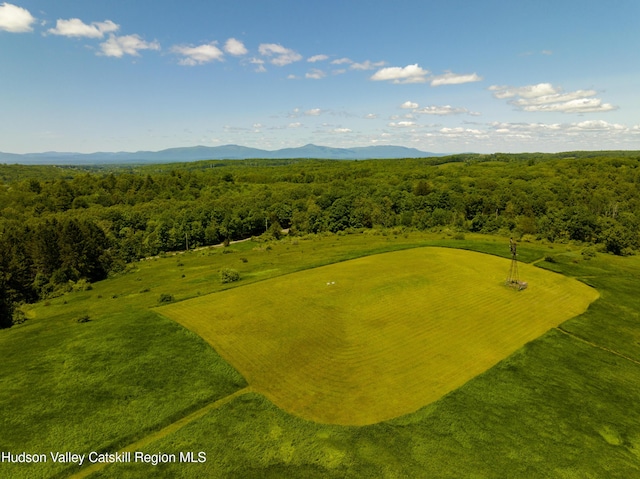 bird's eye view featuring a mountain view