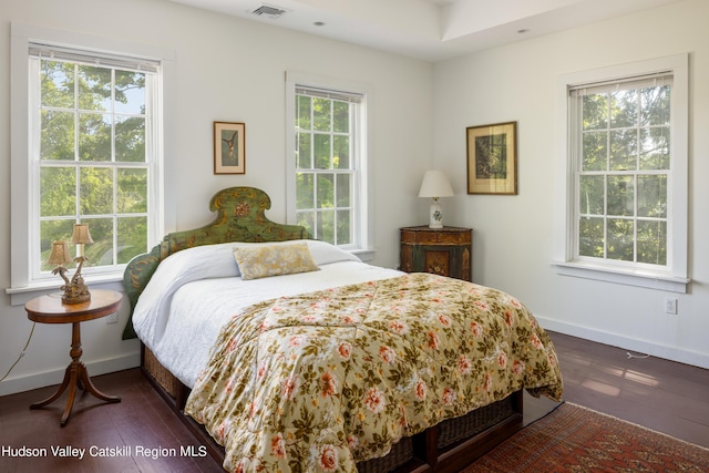 bedroom featuring multiple windows and dark hardwood / wood-style flooring