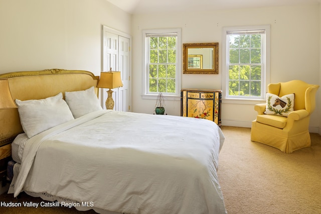 bedroom featuring multiple windows, a closet, and carpet floors