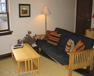 294 Main St, Pine Hill, NY 12465 - photo 18