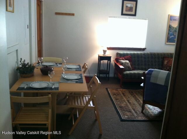 294 Main St, Pine Hill, NY 12465 - photo 6