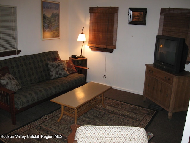 294 Main St, Pine Hill, NY 12465 - photo 2