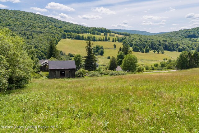 766 Mountain Brook Rd, Bovina, NY 13740 - photo 21