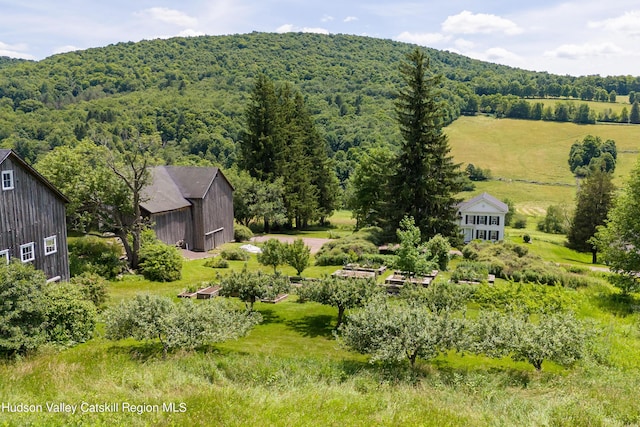 766 Mountain Brook Rd, Bovina, NY 13740 - photo 22