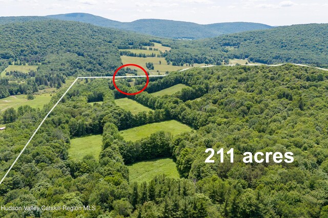 766 Mountain Brook Rd, Bovina, NY 13740 - photo 20