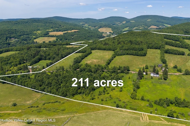 766 Mountain Brook Rd, Bovina, NY 13740 - photo 14