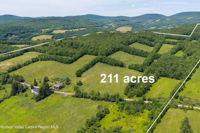 766 Mountain Brook Rd, Bovina, NY 13740 - photo 16