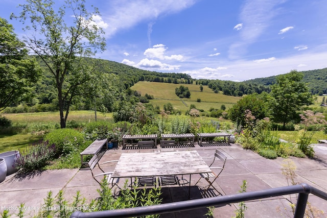 766 Mountain Brook Rd, Bovina, NY 13740 - photo 9