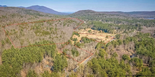 626 Wittenberg Rd, Bearsville, NY 12409 - photo 9